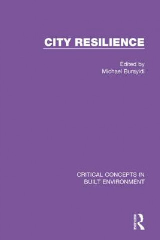 Carte City Resilience Michael Burayidi