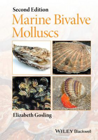 Kniha Marine Bivalve Molluscs 2e Elizabeth Gosling