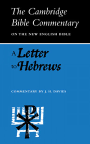 Książka Letter to Hebrews 