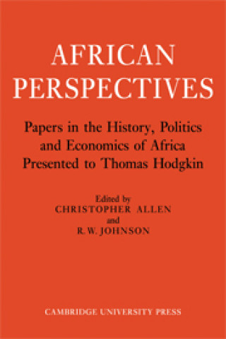 Libro African Perspectives 