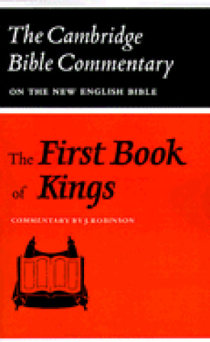 Książka First Book of Kings J. Robinson