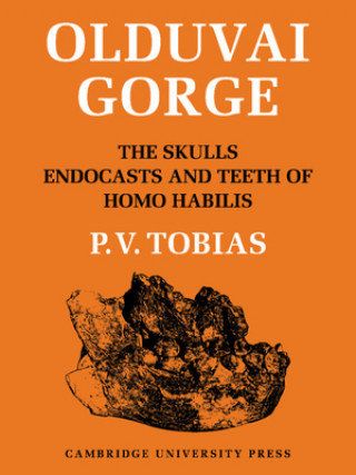 Książka Olduvai Gorge 2 Part Set: Volume 4, The Skulls, Endocasts and Teeth of Homo Habilis Phillip V. Tobias