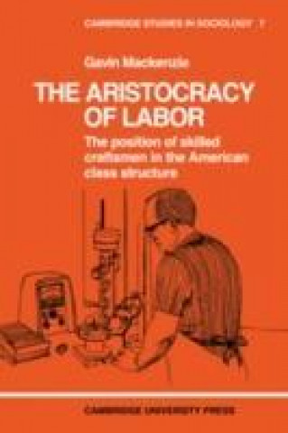 Libro Aristocracy of Labour Gavin MacKenzie