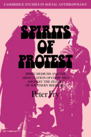 Kniha Spirits of Protest Peter Fry