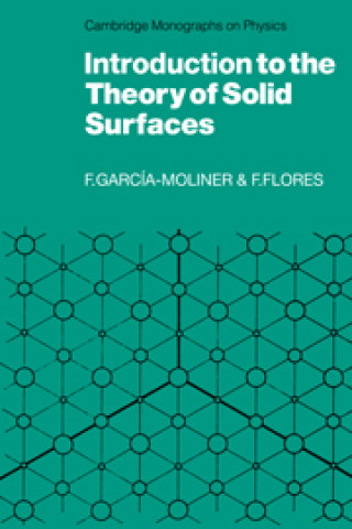 Kniha Introduction to the Theory of Solid Surfaces Fernando Flores