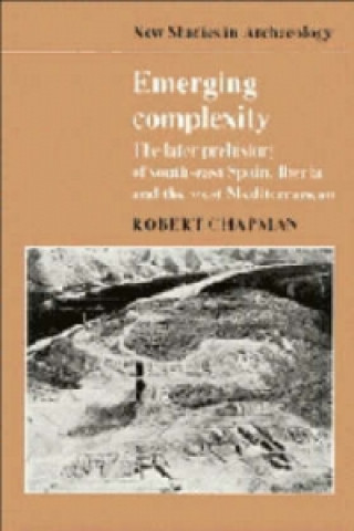 Kniha Emerging Complexity Robert Chapman