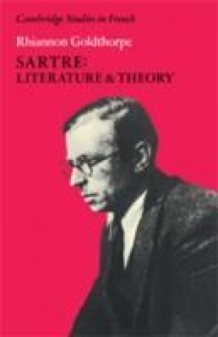 Kniha Sartre: Literature and Theory Rhiannon Goldthorpe