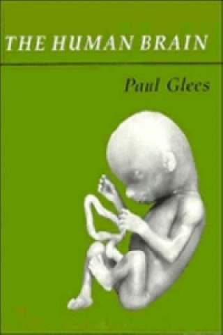 Libro Human Brain Paul Glees