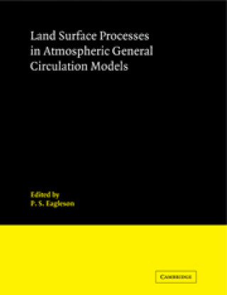 Könyv Land Surface Processes in Atmospheric General Circulation Models 