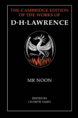 Könyv Mr Noon D H Lawrence