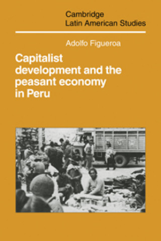 Kniha Capitalist Development and the Peasant Economy in Peru Adolfo Figueroa
