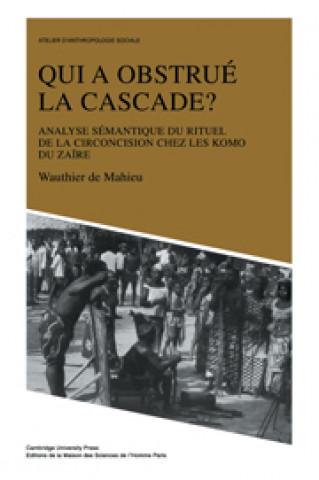 Könyv Qui a obstrue la cascade? Wauthier De Mahieu