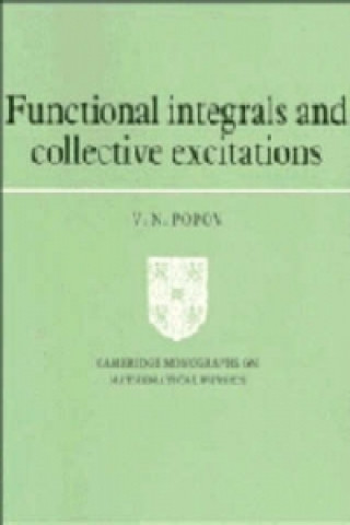 Könyv Functional Integrals and Collective Excitations V.N. Popov