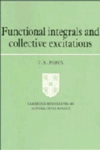 Knjiga Functional Integrals and Collective Excitations V.N. Popov