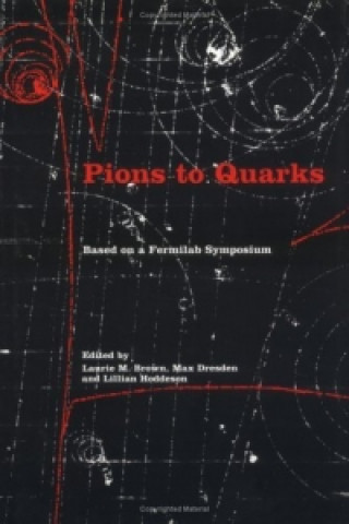 Книга Pions to Quarks 