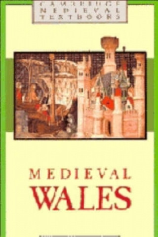 Kniha Medieval Wales David Walker