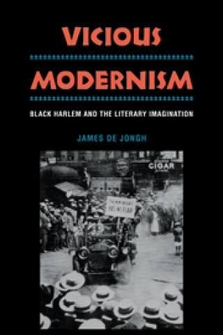 Livre Vicious Modernism James de Jongh