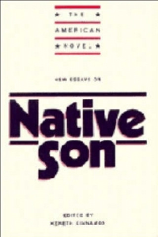 Książka New Essays on Native Son 