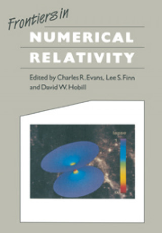 Kniha Frontiers in Numerical Relativity 
