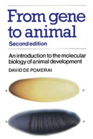 Buch From Gene to Animal David  de Pomerai