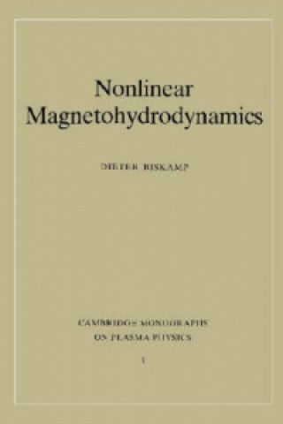 Könyv Nonlinear Magnetohydrodynamics Dieter Biskamp