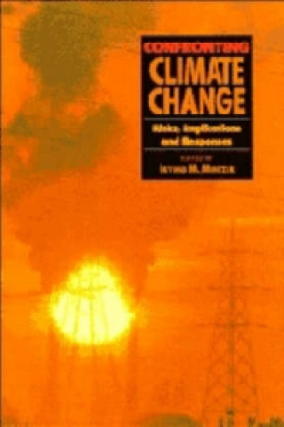 Buch Confronting Climate Change 