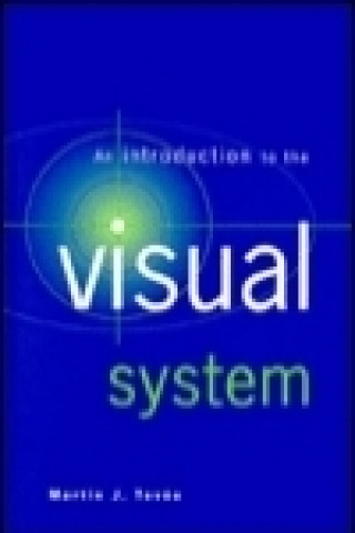 Livre Introduction to the Visual System Martin J. Tovee