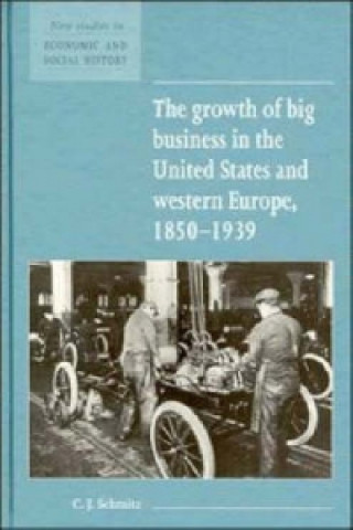 Könyv Growth of Big Business in the United States and Western Europe, 1850-1939 Christopher J. Schmitz