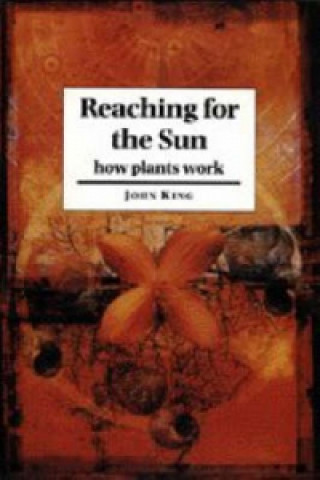 Boek Reaching for the Sun John King