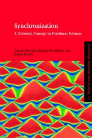 Kniha Synchronization Jurgen Kurths