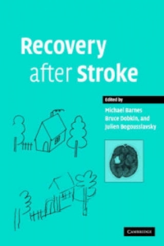 Könyv Recovery after Stroke 