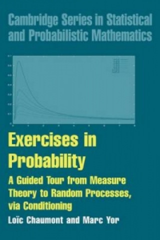 Książka Exercises in Probability Marc Yor