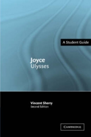 Książka Joyce: Ulysses Vincent B. Sherry