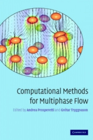 Könyv Computational Methods for Multiphase Flow 