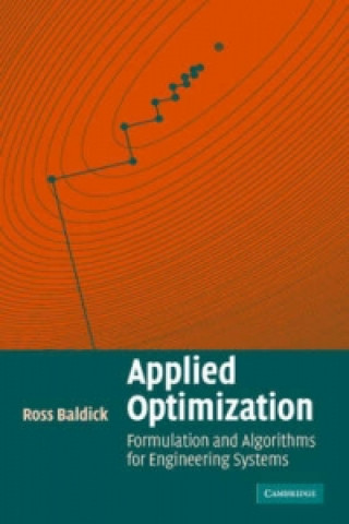Kniha Applied Optimization Ross Baldick