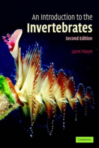 Книга Introduction to the Invertebrates Janet Moore