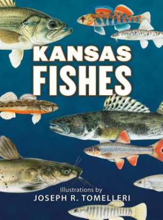 Knjiga Kansas Fishes Kansas Fishes Committee