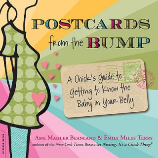 Kniha Postcards from the Bump Emily Miles Terry