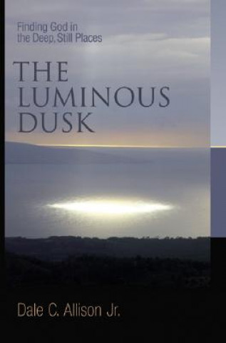 Kniha Luminous Dusk Allison
