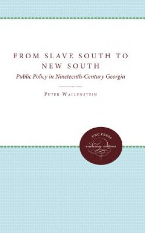 Книга From Slave South to New South Professor Peter Wallenstein