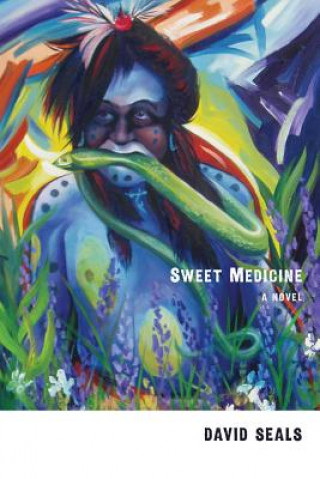 Kniha Sweet Medicine David Seals