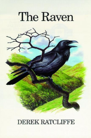 Carte Raven Derek Ratcliffe