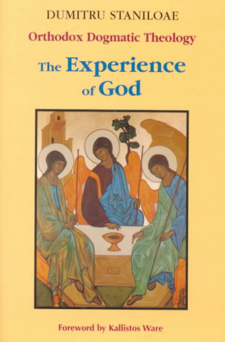 Kniha Orthodox Dogmatic Theology Dumitru Staniloae
