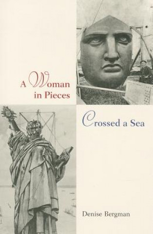 Könyv Woman in Pieces Crossed a Sea Denise Bergman