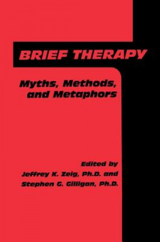 Kniha Brief Therapy Jeffrey K. Zeig