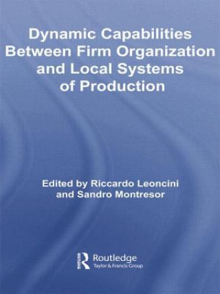 Könyv Dynamic Capabilities Between Firm Organisation and Local Systems of Production Riccardo Leoncini