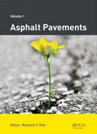 Knjiga Asphalt Pavements 