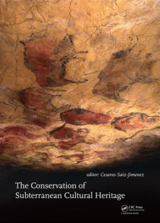 Book Conservation of Subterranean Cultural Heritage 