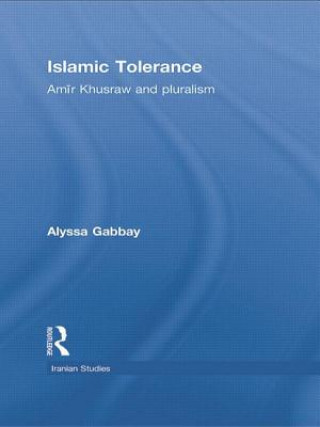 Kniha Islamic Tolerance Alyssa Gabbay