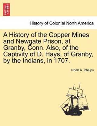 Carte History of the Copper Mines and Newgate Prison, at Granby, Conn. Also, of the Captivity of D. Hays, of Granby, by the Indians, in 1707. Noah A Phelps